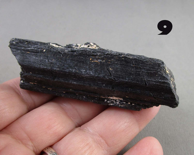 You Choose!  Premium Black Tourmaline Crystal