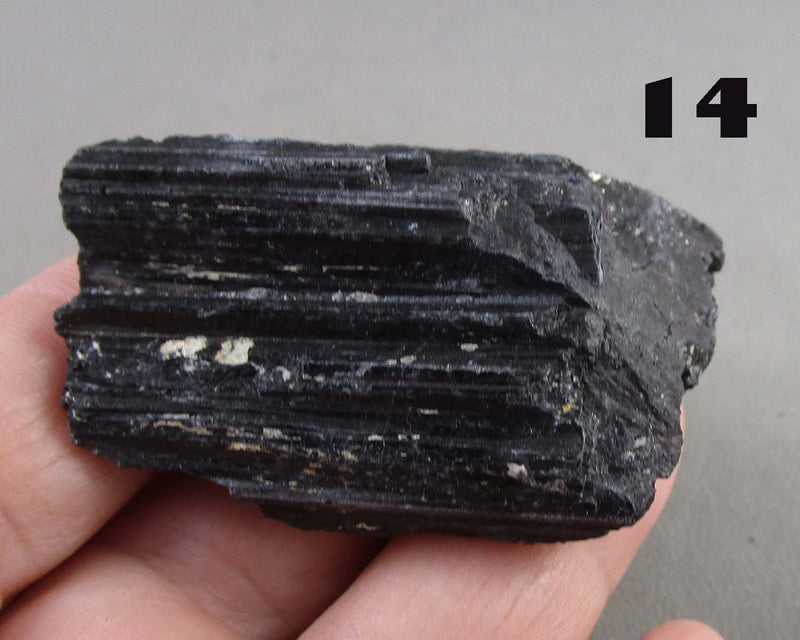 You Choose!  Premium Black Tourmaline Crystal