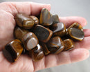 Tiger Eye Polished Stones (Medium) 3pc J258**