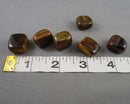 Tiger Eye Polished Stones (Medium) 3pc J258**