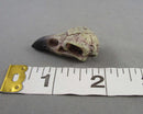 Raven Skull (Resin) 1pc Z141
