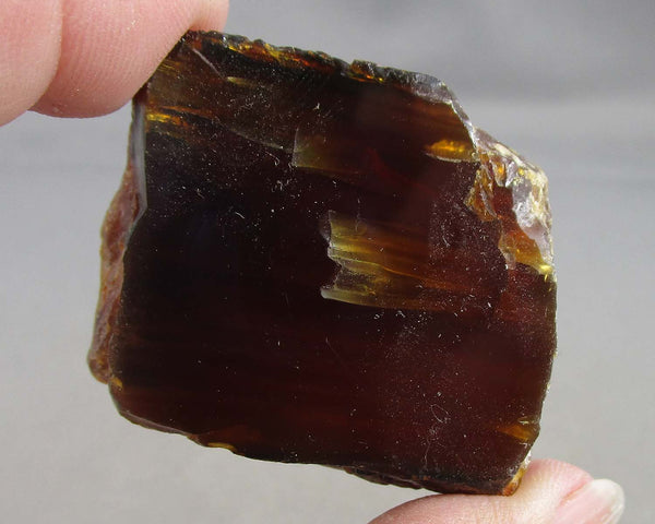 Polished Black Amber 1pc B120-5