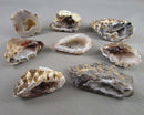 You Choose! Oco Geode