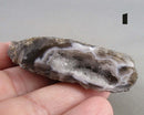 You Choose! Oco Geode