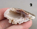 You Choose! Oco Geode