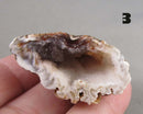 You Choose! Oco Geode