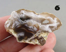 You Choose! Oco Geode