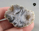You Choose! Oco Geode