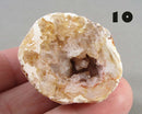 You Choose! Oco Geode