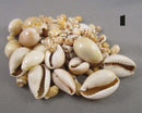 Spring Cleaning Beads & Supplies Drop 3