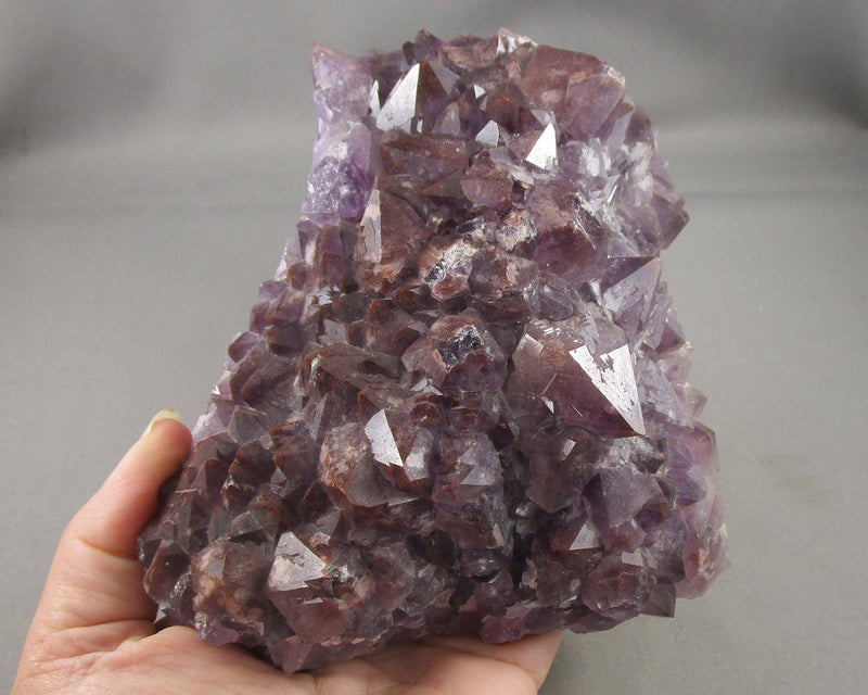 Large Red Thunder Bay Amethyst Crystal Cluster 1pc B095-4