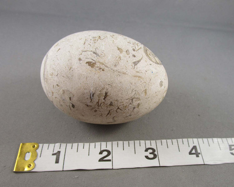 Fossil Stone Egg 1pc B052-3