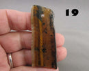You Choose! Tiger Eye Stone Pendant (Drilled)