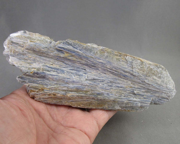 Large Blue Kyanite Crystal Blade 1pc