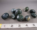 Moss Agate Polished Stones (Medium) 3pcs J261**