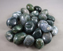 Moss Agate Polished Stones (Medium) 3pcs J261**