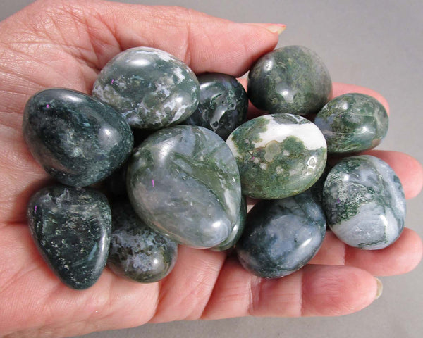 Moss Agate Polished Stones (Medium) 3pcs J261**