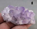 You Choose! Amethyst Crystal Cluster 1pc