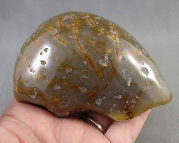 50% OFF!  Enhydro Agate Polished Stone 1pc B076-2