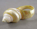 Shell Gemstone Ring Size 5.5 (Vintage) H052-14