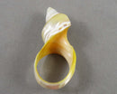Shell Gemstone Ring Size 5.5 (Vintage) H052-14