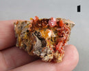 You Choose!  Vanadinite Crystal Cluster 1pc
