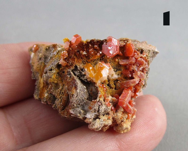 You Choose!  Vanadinite Crystal Cluster 1pc
