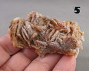 You Choose!  Vanadinite Crystal Cluster 1pc
