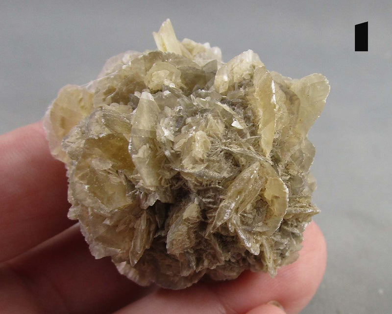 You Choose!  Manitoba Floodway Crystal Rose 1pc