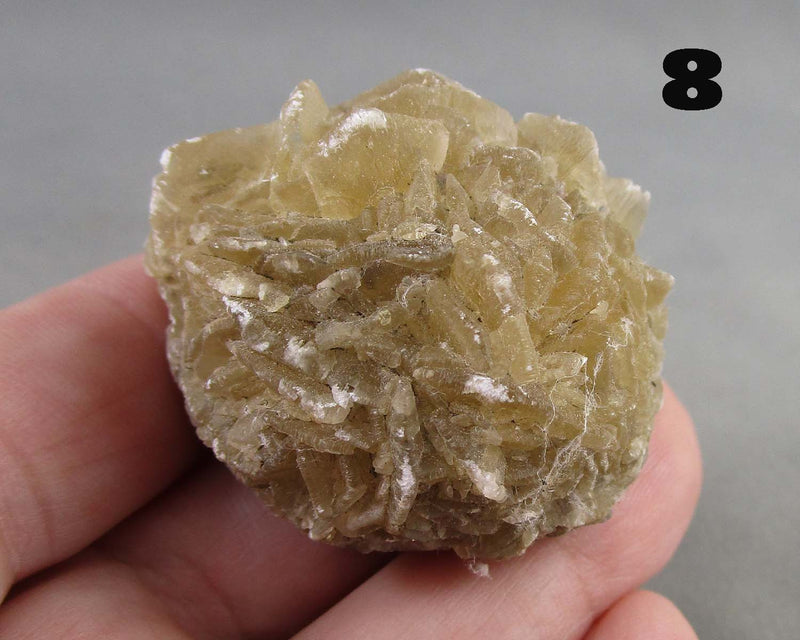 You Choose!  Manitoba Floodway Crystal Rose 1pc