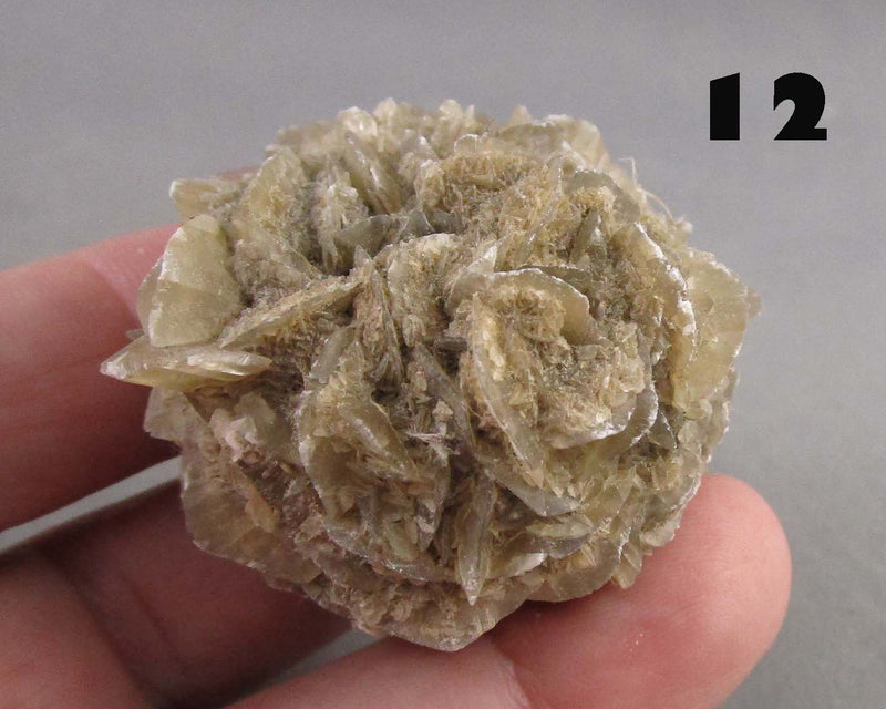 You Choose!  Manitoba Floodway Crystal Rose 1pc