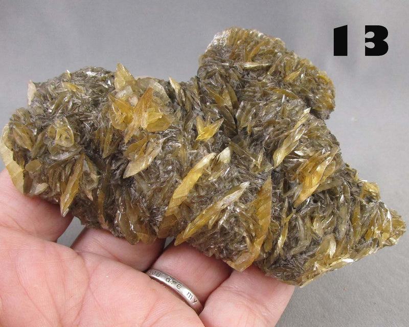 You Choose!  Manitoba Floodway Crystal Rose 1pc