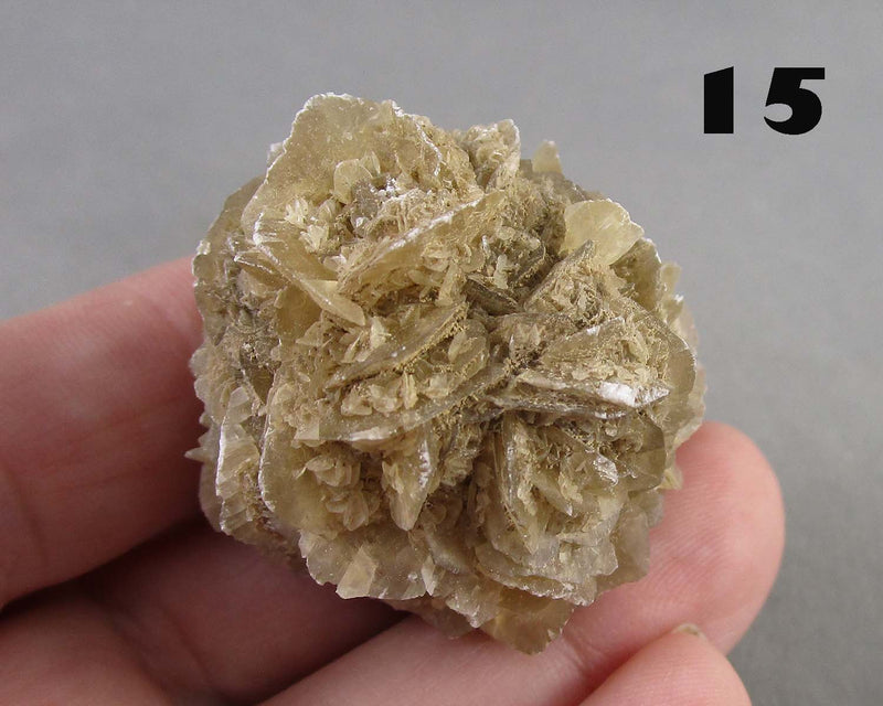 You Choose!  Manitoba Floodway Crystal Rose 1pc