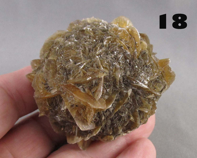 You Choose!  Manitoba Floodway Crystal Rose 1pc
