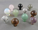 Crystal Gemstone Mushrooms (Mixed Variety) 1pc C310