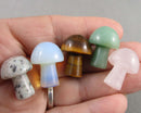 Crystal Gemstone Mushrooms (Mixed Variety) 1pc C310