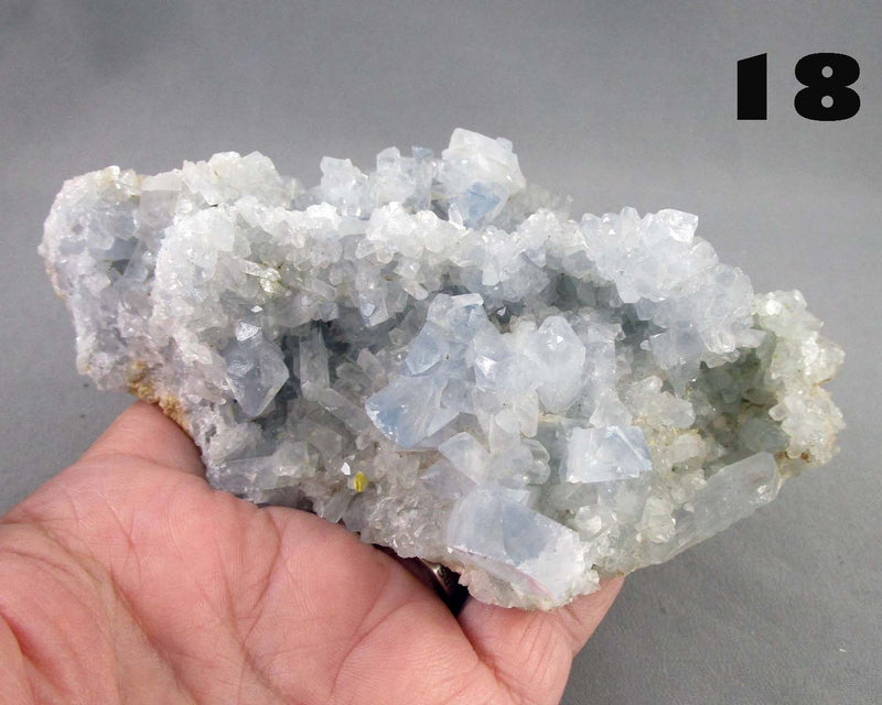 NEW Crystal Specimen Drop Sept 21st