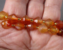 Carnelian Bicone Beads 8mm C716