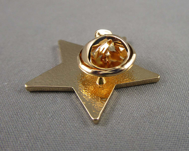 "Didn't Kill Anyone Today" Gold Star Enamel Pin 1pc (BIN 42)