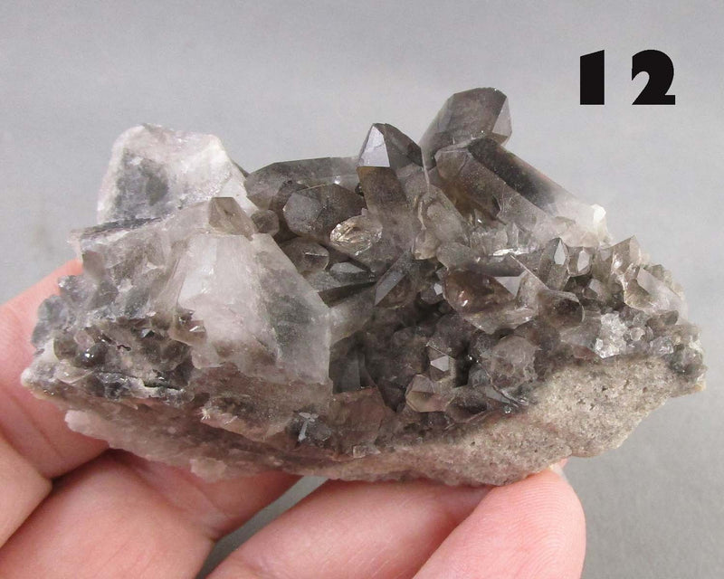 NEW Crystal Specimen Drop Aug 13th