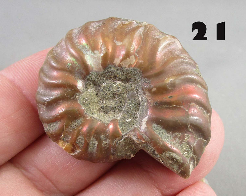 NEW Crystal Specimen Drop Aug 13th