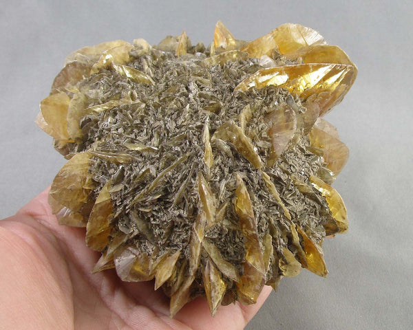 XLarge Manitoba Floodway Crystal Rose 1pc