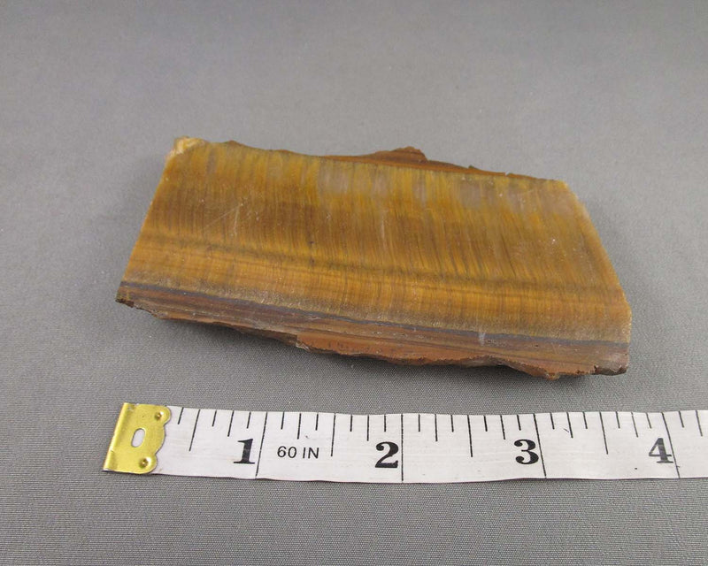 Tiger Eye Stone Slice 1pc B019-4