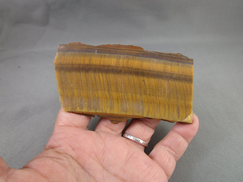 Tiger Eye Stone Slice 1pc B019-4