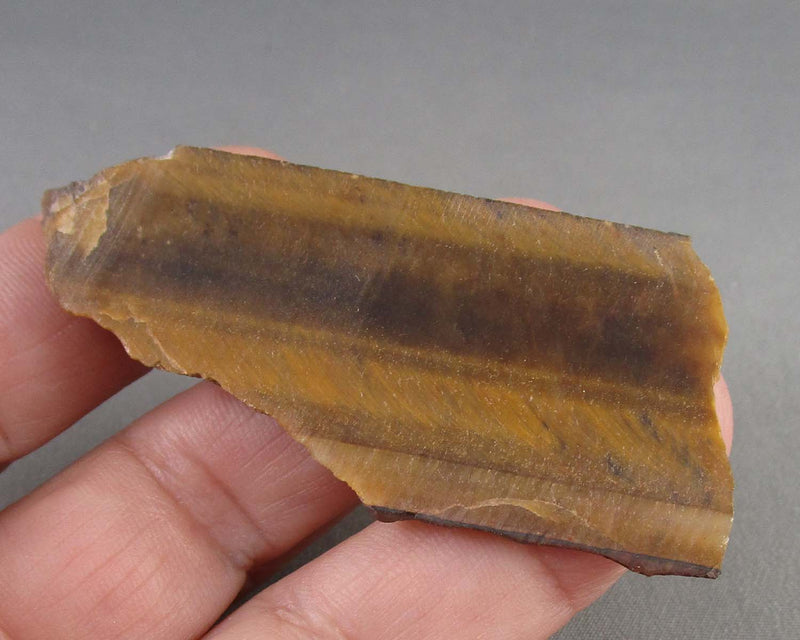 Tiger Eye Stone Slice 1pc B019-5