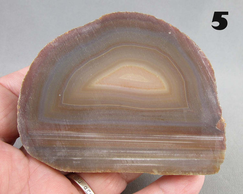 You Choose! Agate Stone Slice 1pc