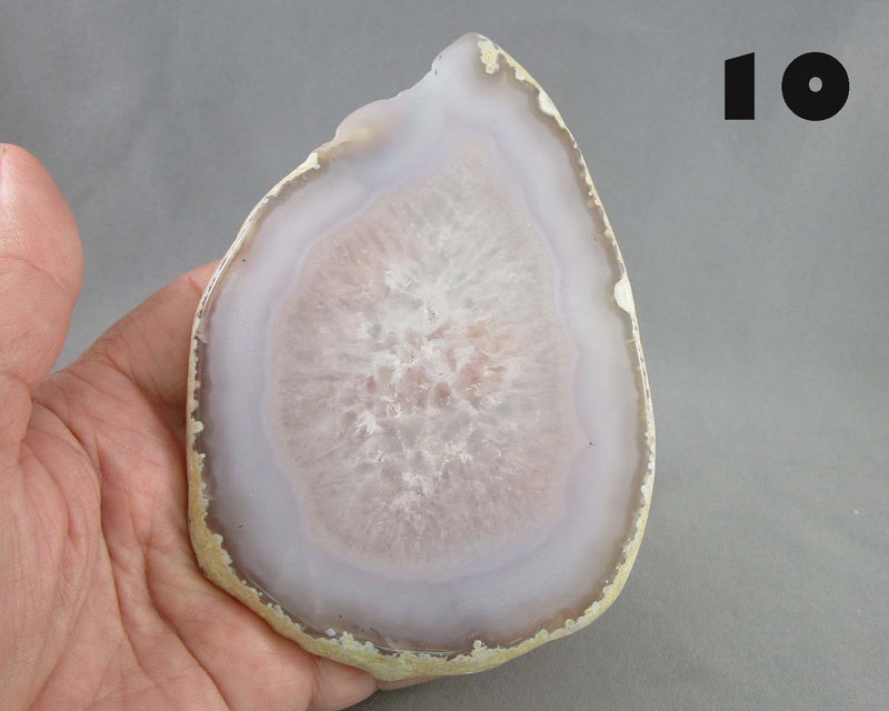 You Choose! Agate Stone Slice 1pc