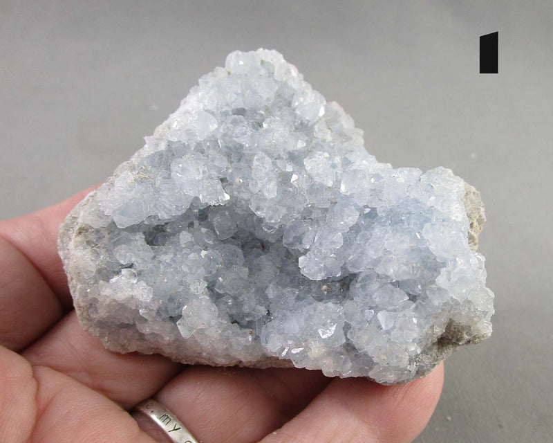 You Choose! Blue Celestite Crystal Cluster 1pc