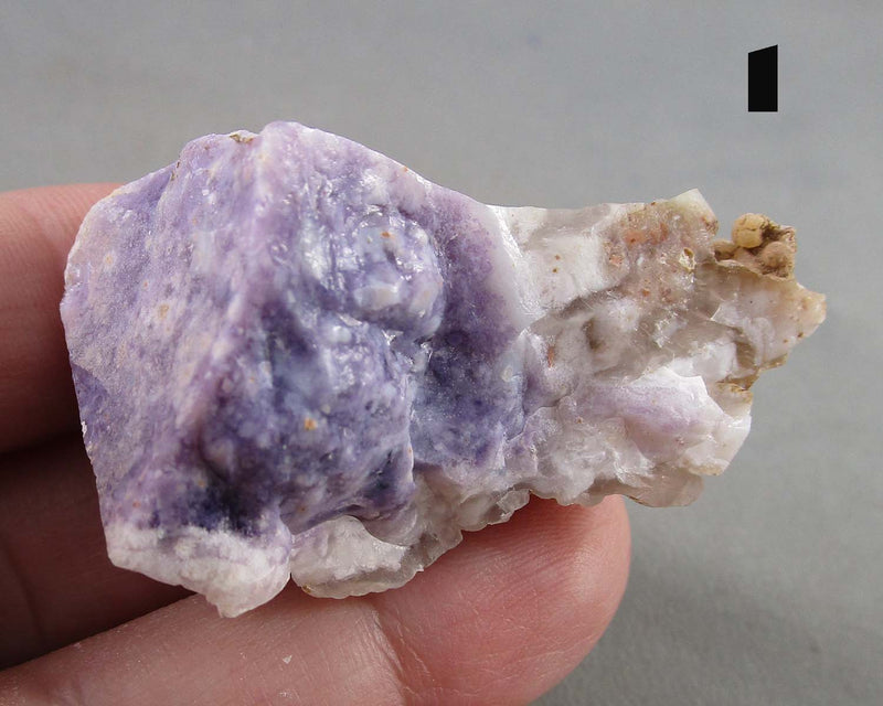 You Choose! Purple Opal (Morado Opal)