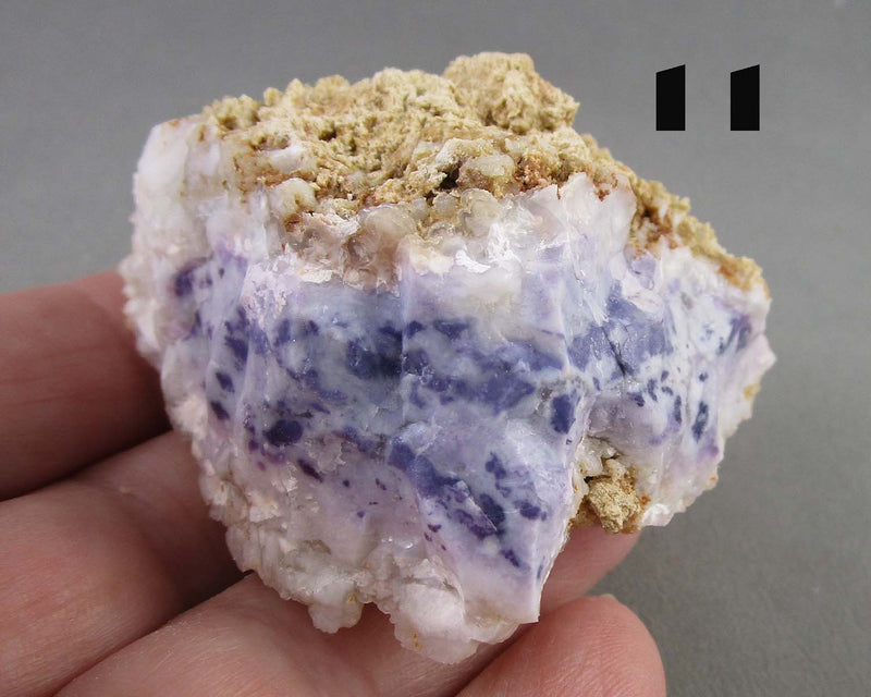 You Choose! Purple Opal (Morado Opal)